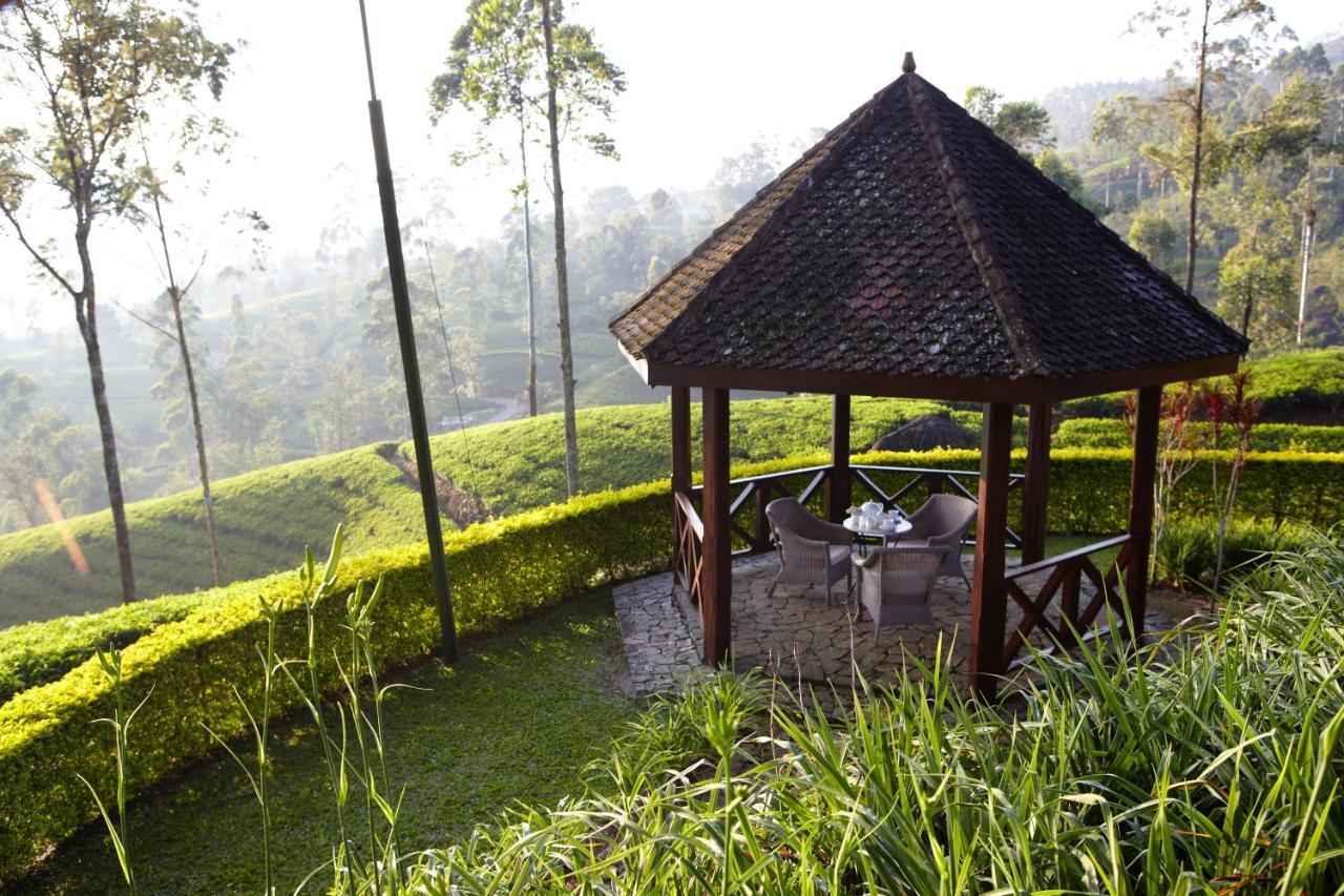 Ceylon Tea Trails - Relais And Chateaux Hatton Eksteriør bilde