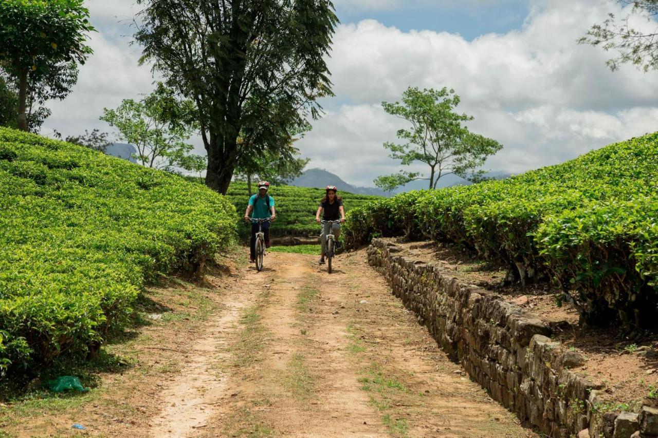 Ceylon Tea Trails - Relais And Chateaux Hatton Eksteriør bilde